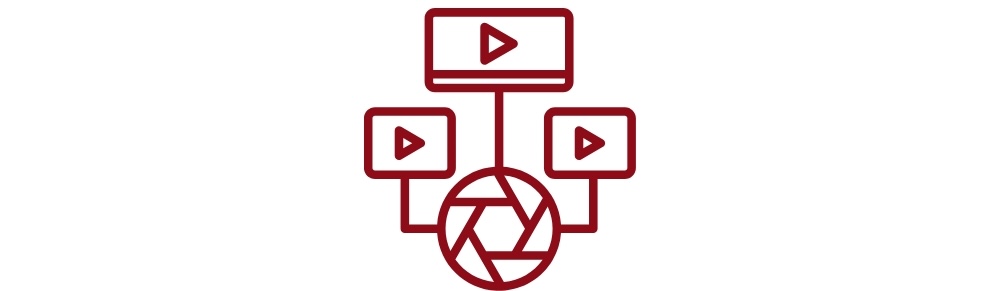 Video Monitoring icon
