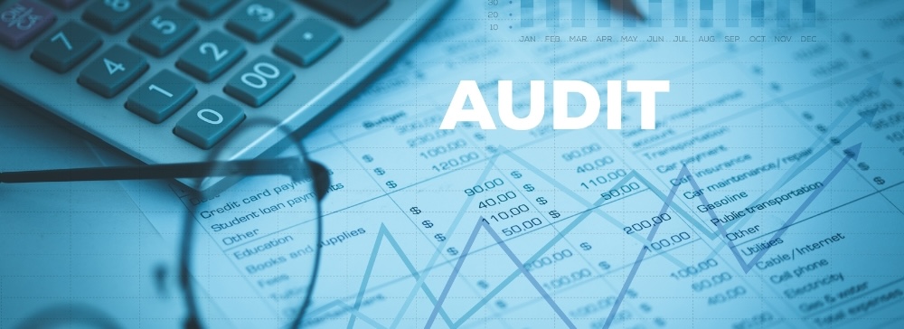 tax audit